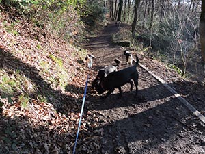 January 2017 Photo 10